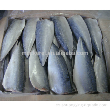 Filetes congelados congelados de pescado congelado de la exportación china